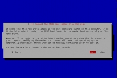 Install the GRUB boot loader